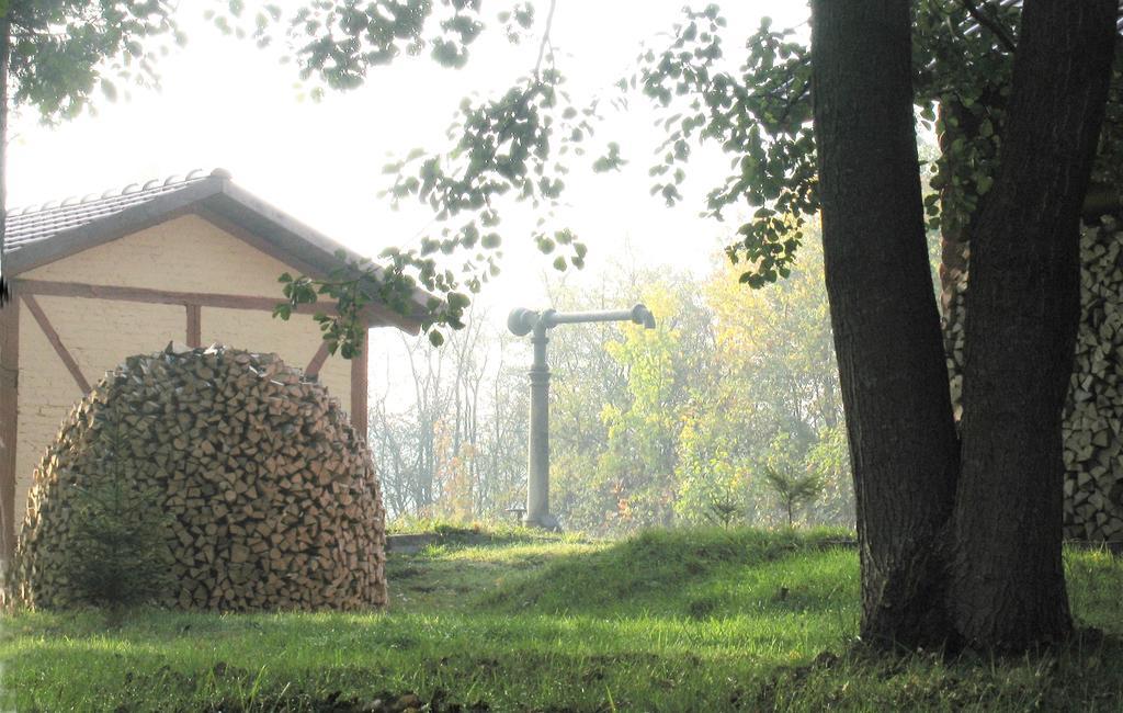 Białowieżaアパルタメンティ カルスキーアパートメント エクステリア 写真